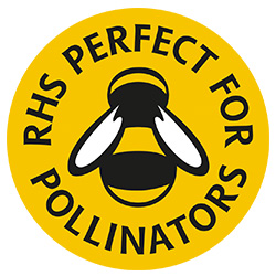 RHS perfect for pollinators
