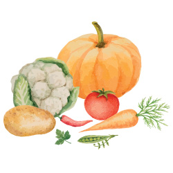 vegetable selection
